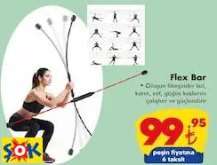 FLEX BAR FLEX BAR